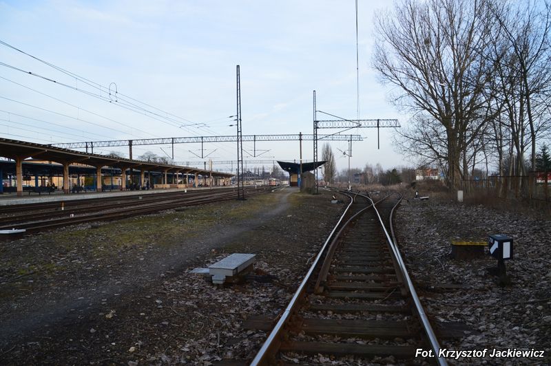 Plik:Pila (68).jpg