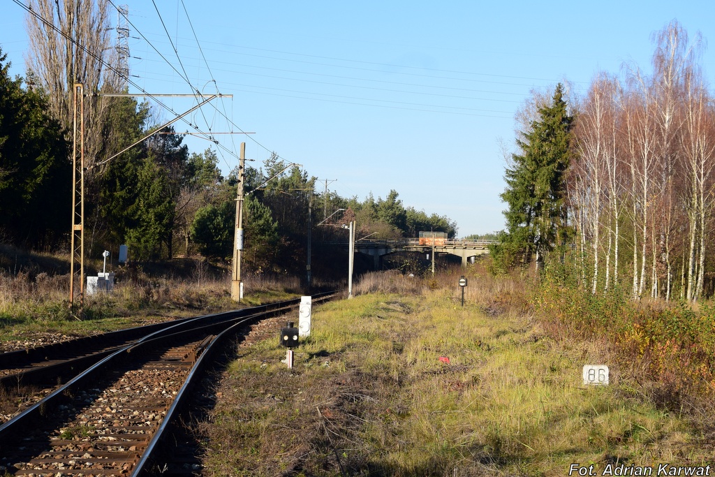 PlikBartodzieje1.jpg Semaforek