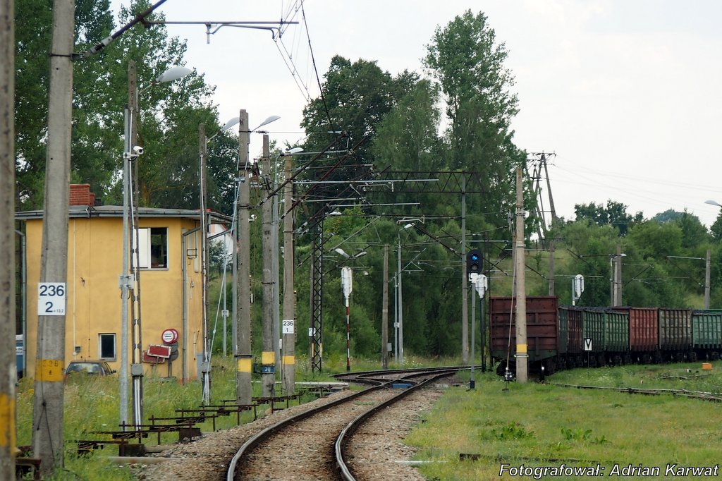 PlikKuznica Bialostocka14.JPG Semaforek