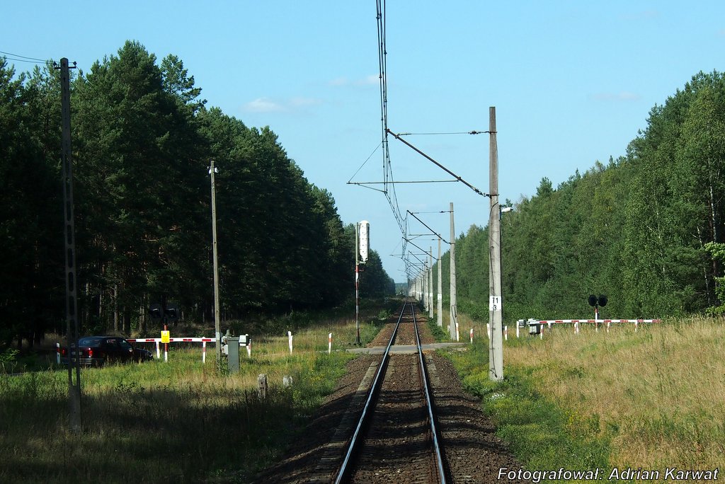 PlikPodlasek8.JPG Semaforek