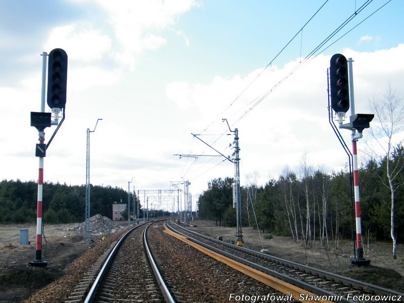 PlikMiedniewice2.JPG Semaforek
