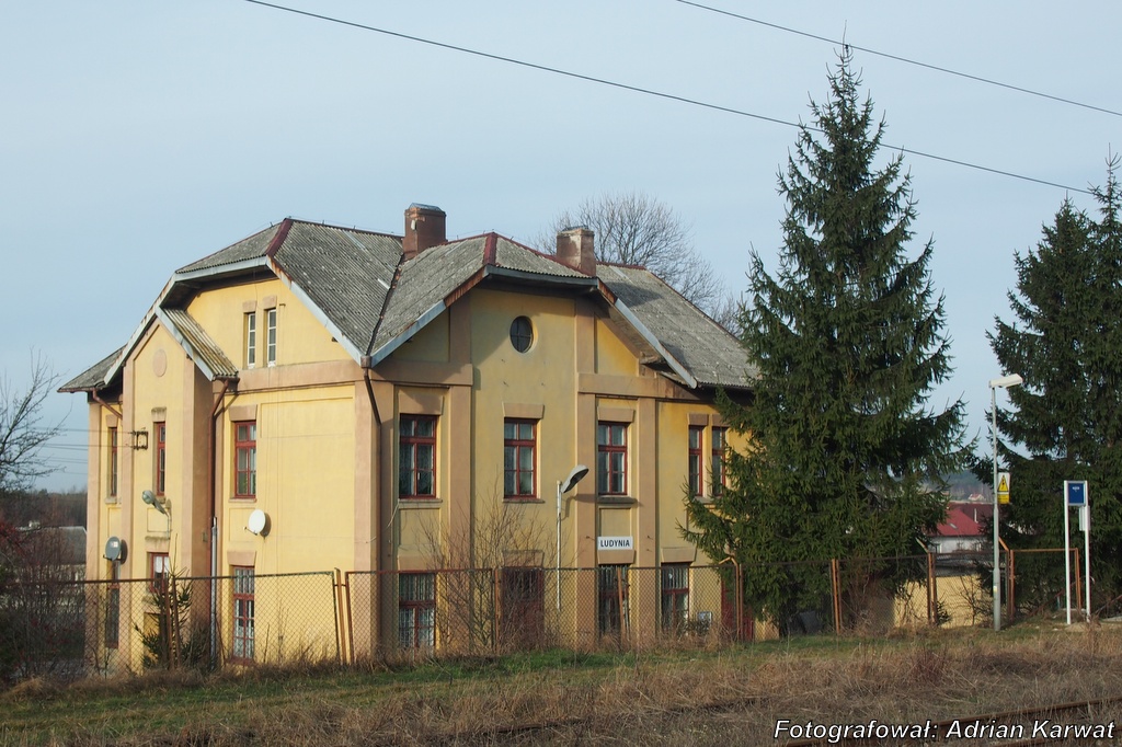 PlikLudynia1.JPG Semaforek