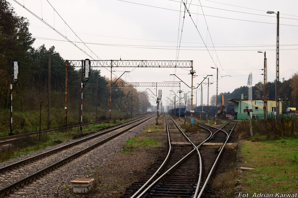 PlikPuszcza M new2.JPG Semaforek